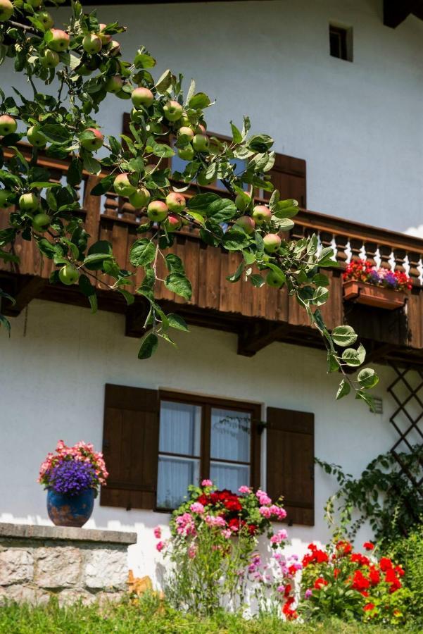 Haus Bergfreund Bischofswiesen